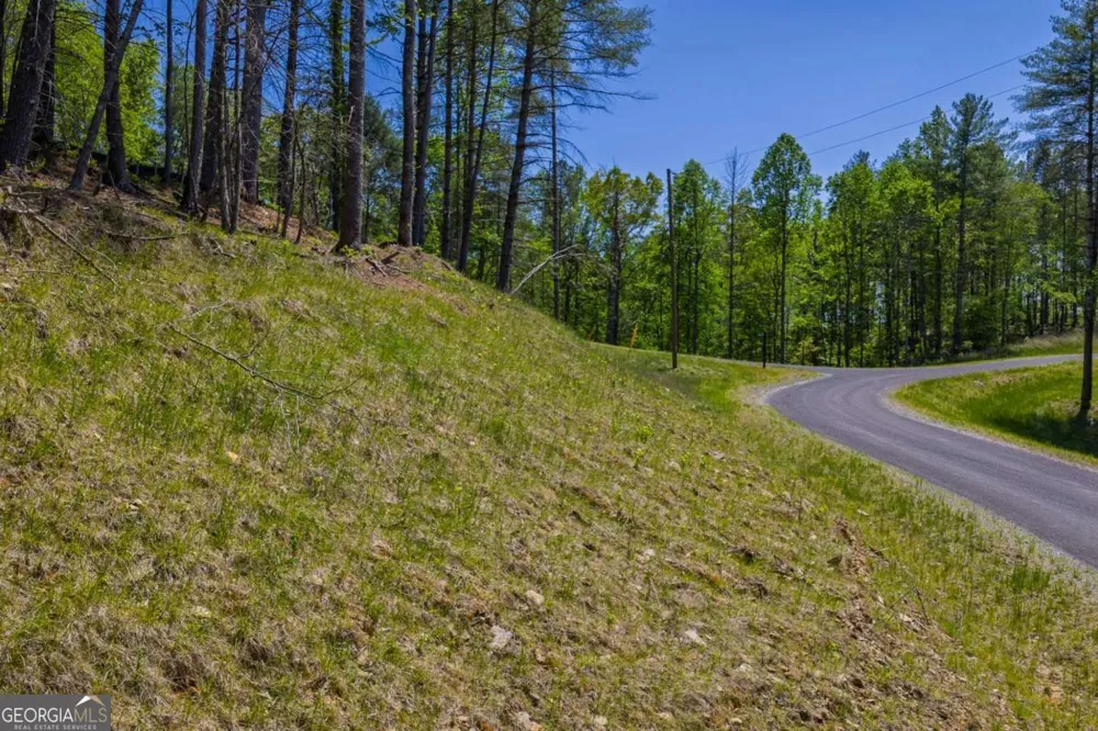 LOT 343 Shallow Branch DR Talking Rock, GA 30175