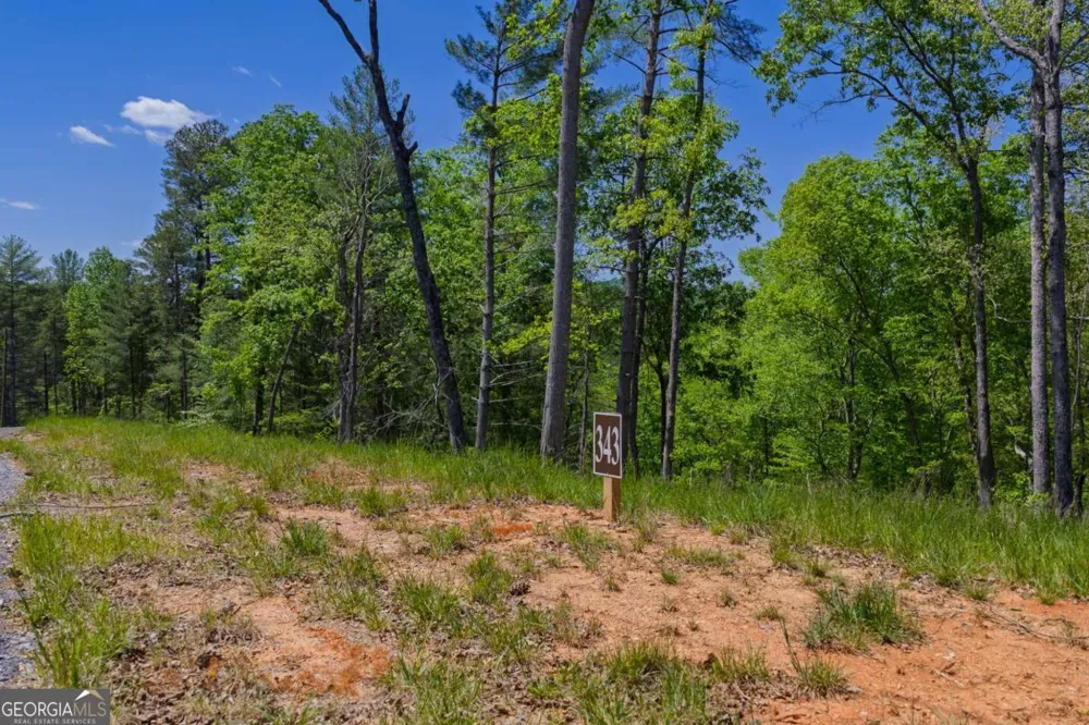 LOT 343 Shallow Branch DR Talking Rock, GA 30175