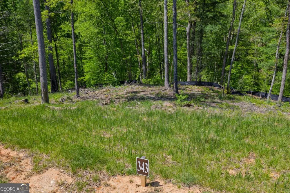 LOT 343 Shallow Branch DR Talking Rock, GA 30175