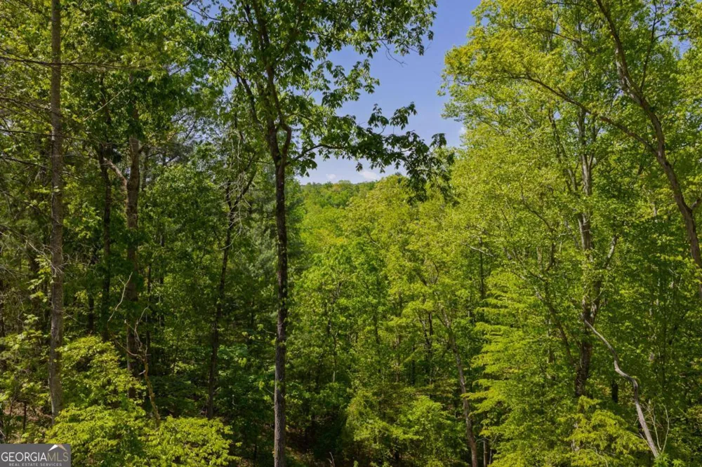 LOT 343 Shallow Branch DR Talking Rock, GA 30175