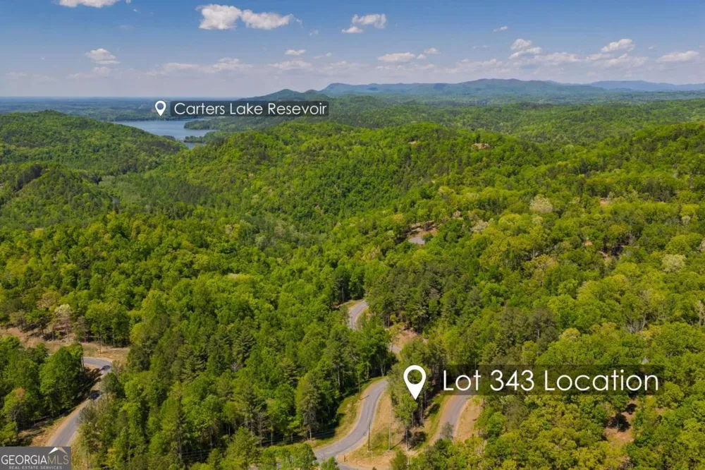 LOT 343 Shallow Branch DR Talking Rock, GA 30175