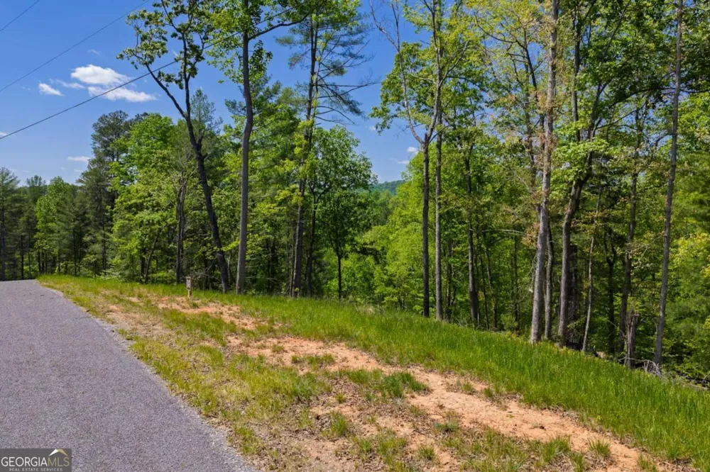 LOT 343 Shallow Branch DR Talking Rock, GA 30175