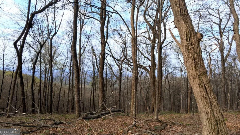 7188 Ridgeview DR Big Canoe, GA 30143