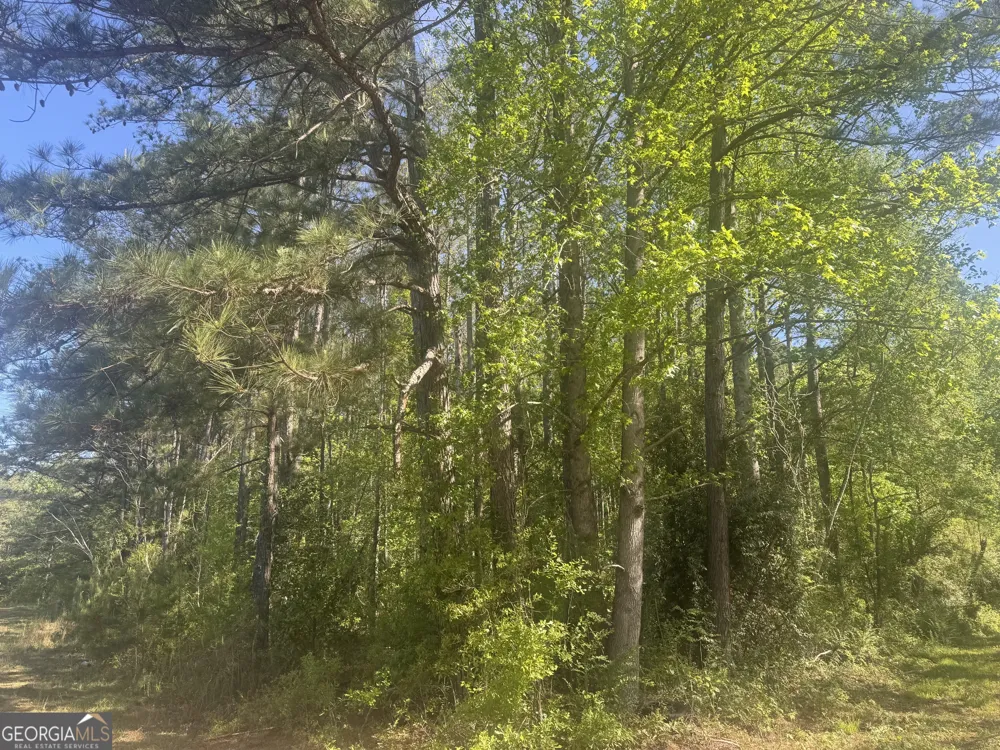 0 Satterwhite ST Roanoke, AL 36274