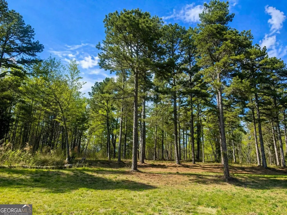 575 Hardy RD Martin, GA 30557
