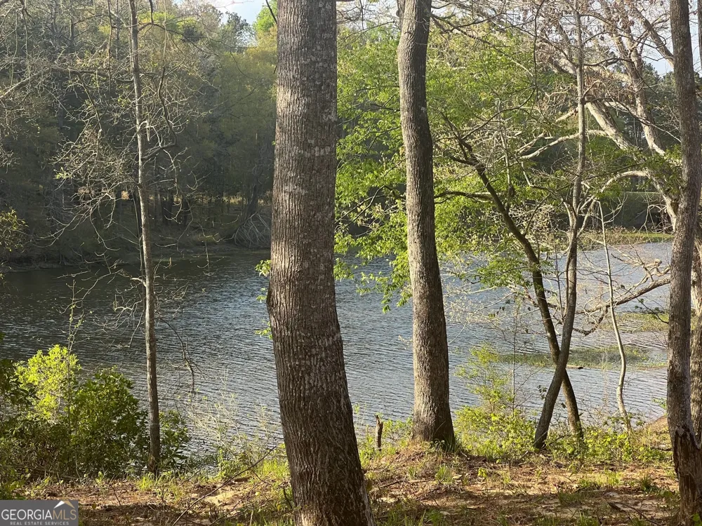 113 Barefoot Bayou Eufaula, AL 36027