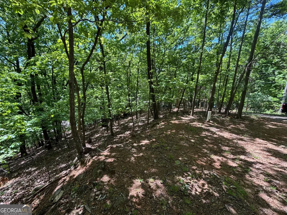 0 Lookout Ridge RD Cleveland, GA 30528