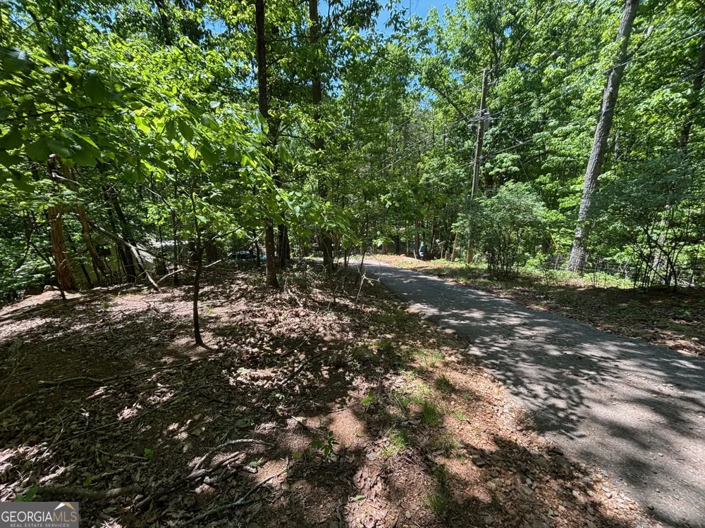 0 Lookout Ridge RD Cleveland, GA 30528