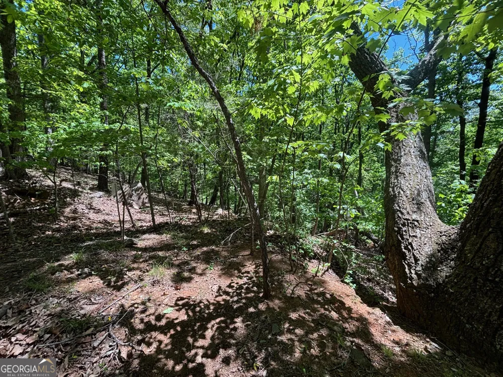 0 Lookout Ridge RD Cleveland, GA 30528