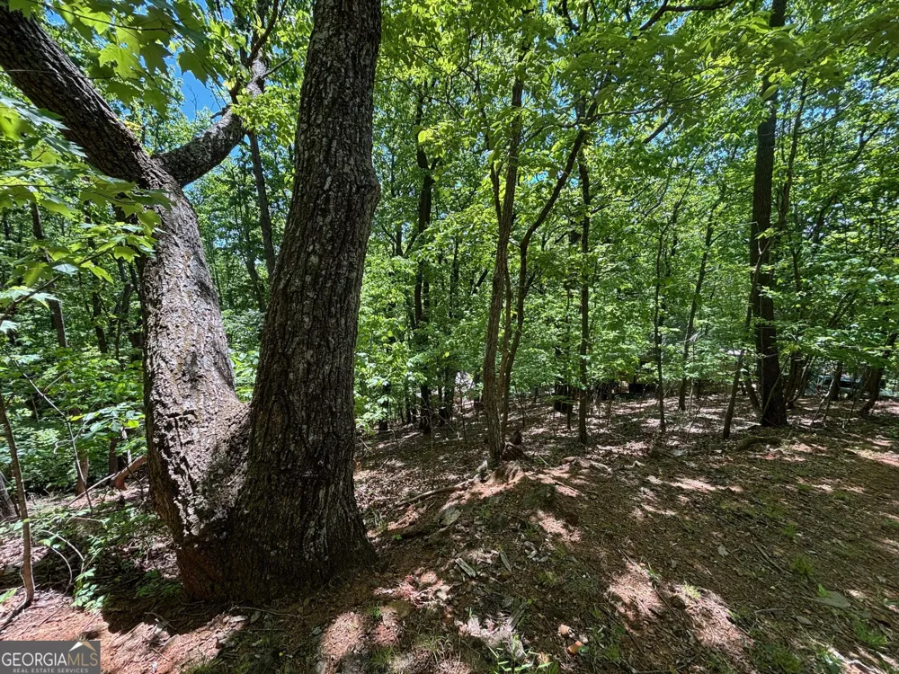 0 Lookout Ridge RD Cleveland, GA 30528