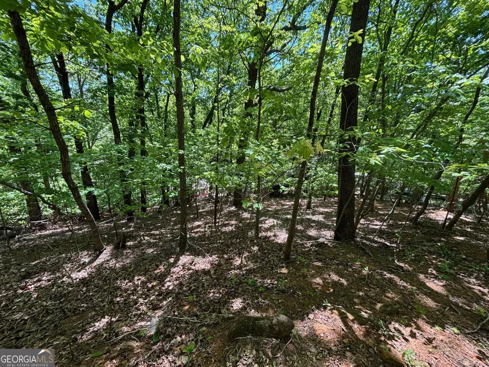 0 Lookout Ridge RD Cleveland, GA 30528