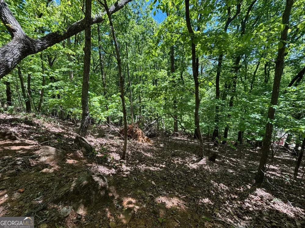 0 Lookout Ridge RD Cleveland, GA 30528