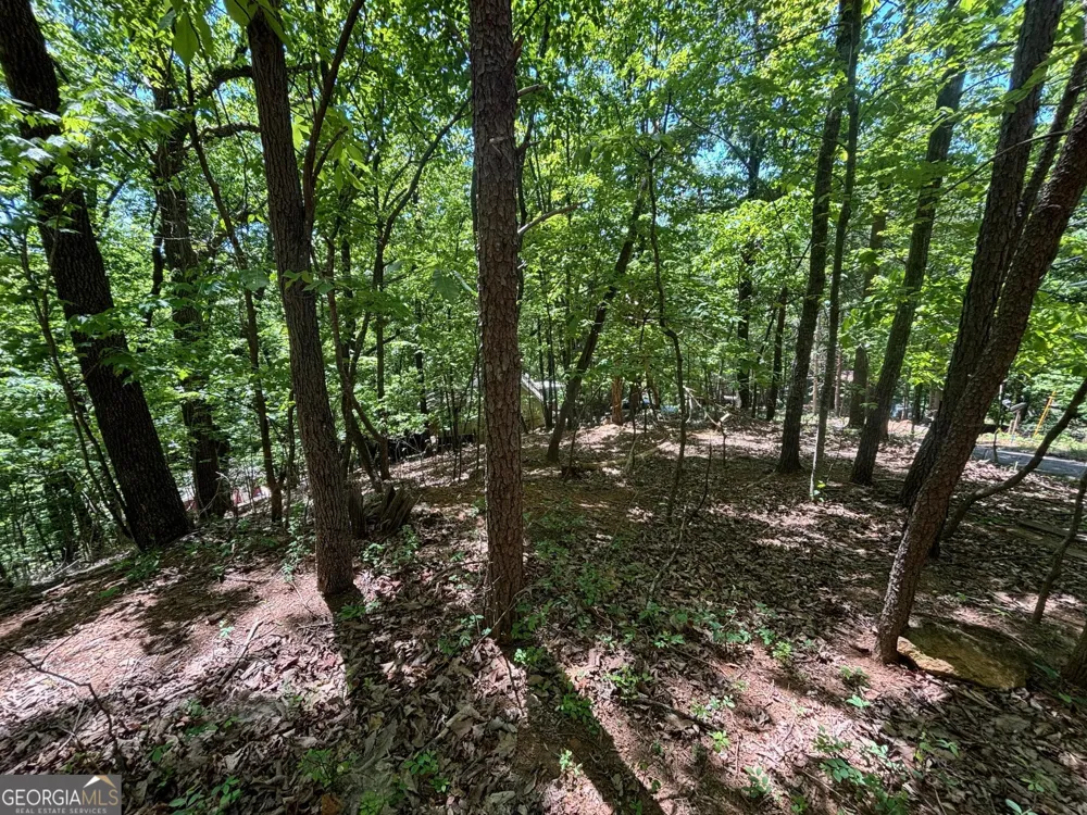 0 Lookout Ridge RD Cleveland, GA 30528