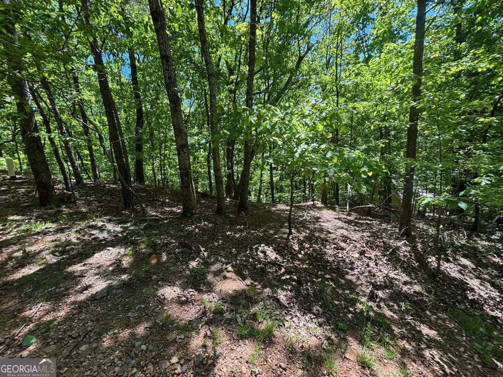 0 Lookout Ridge RD Cleveland, GA 30528