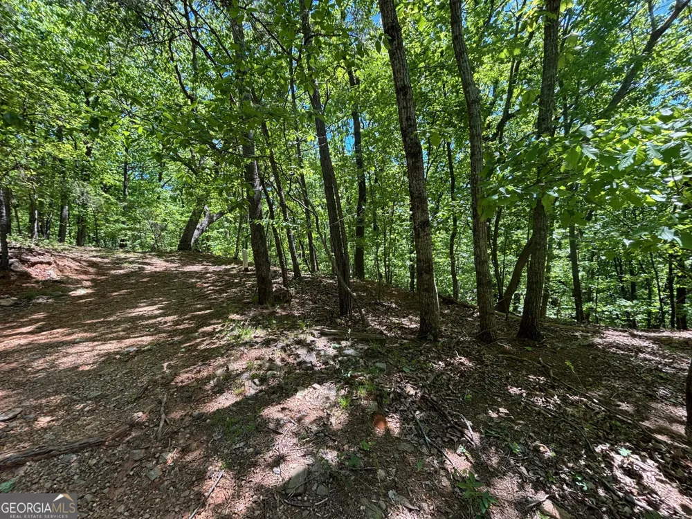 0 Lookout Ridge RD Cleveland, GA 30528