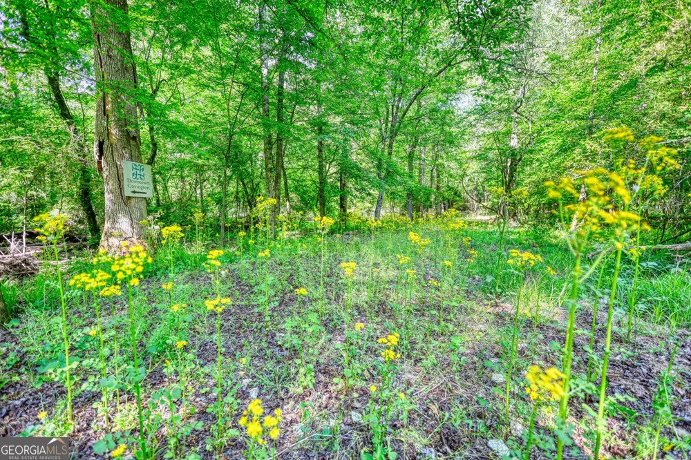 393 Edwards RD Oxford, GA 30054