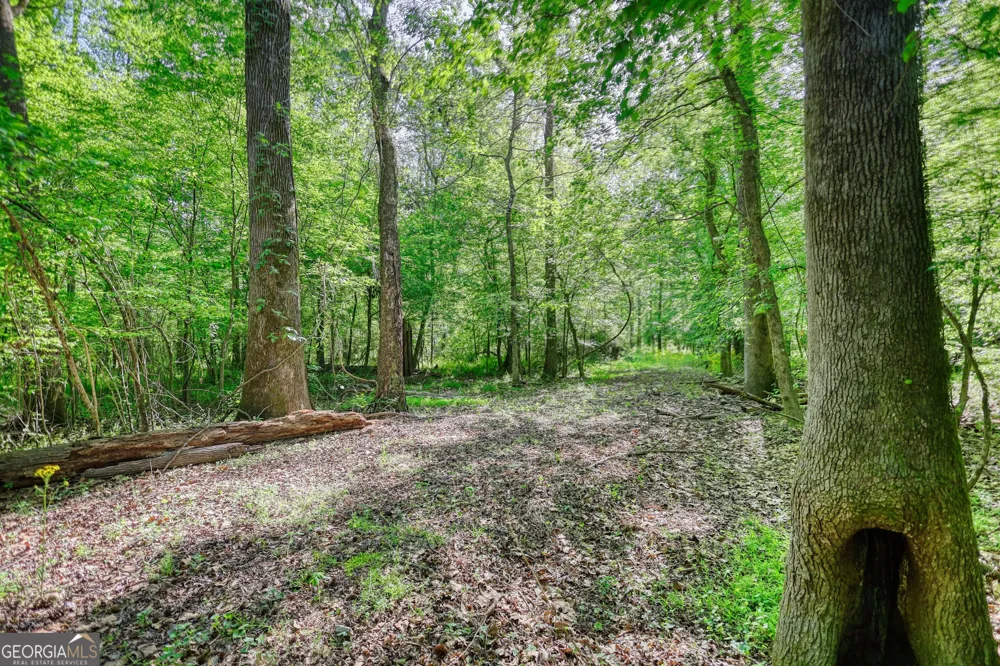393 Edwards RD Oxford, GA 30054