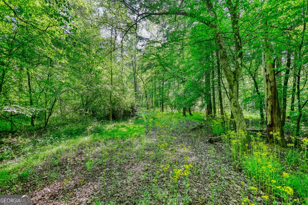 393 Edwards RD Oxford, GA 30054
