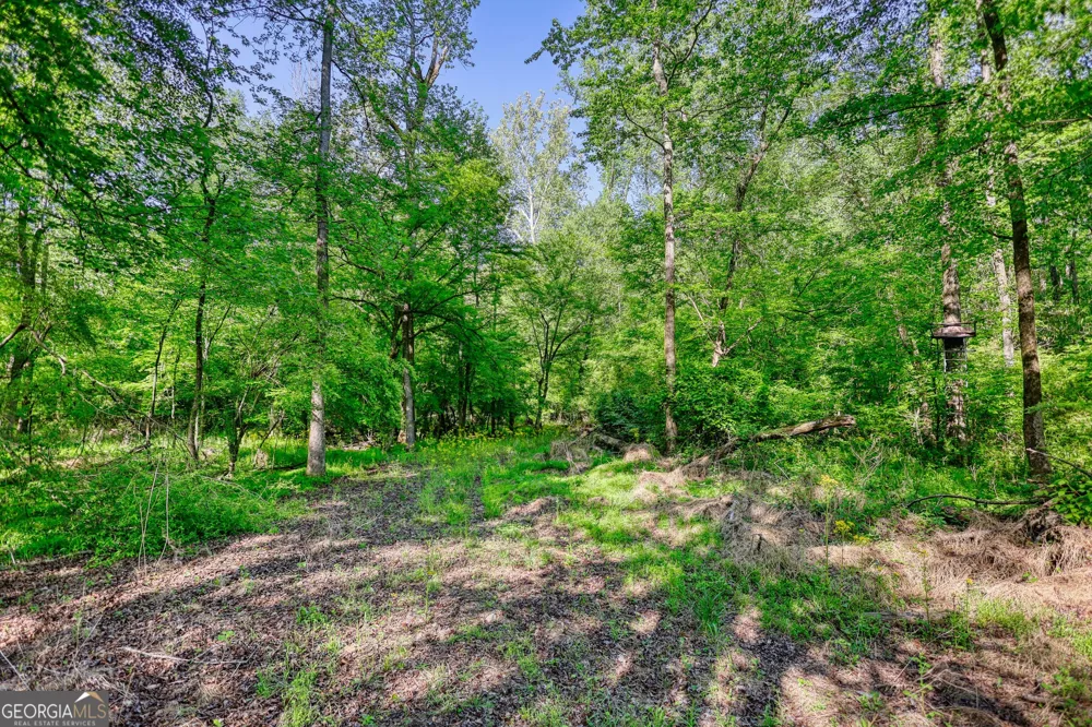 393 Edwards RD Oxford, GA 30054