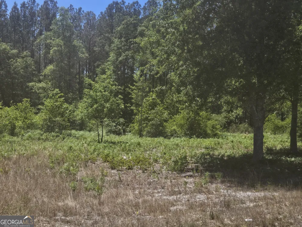 0 Edgar Lane RD Millen, GA 30442