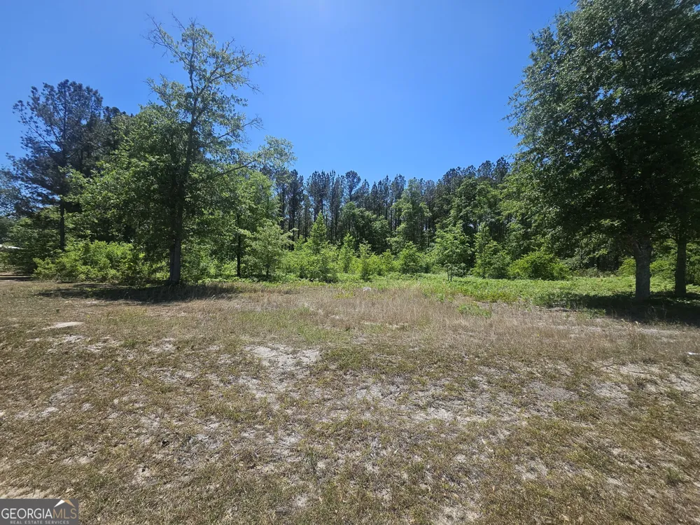 0 Edgar Lane RD Millen, GA 30442