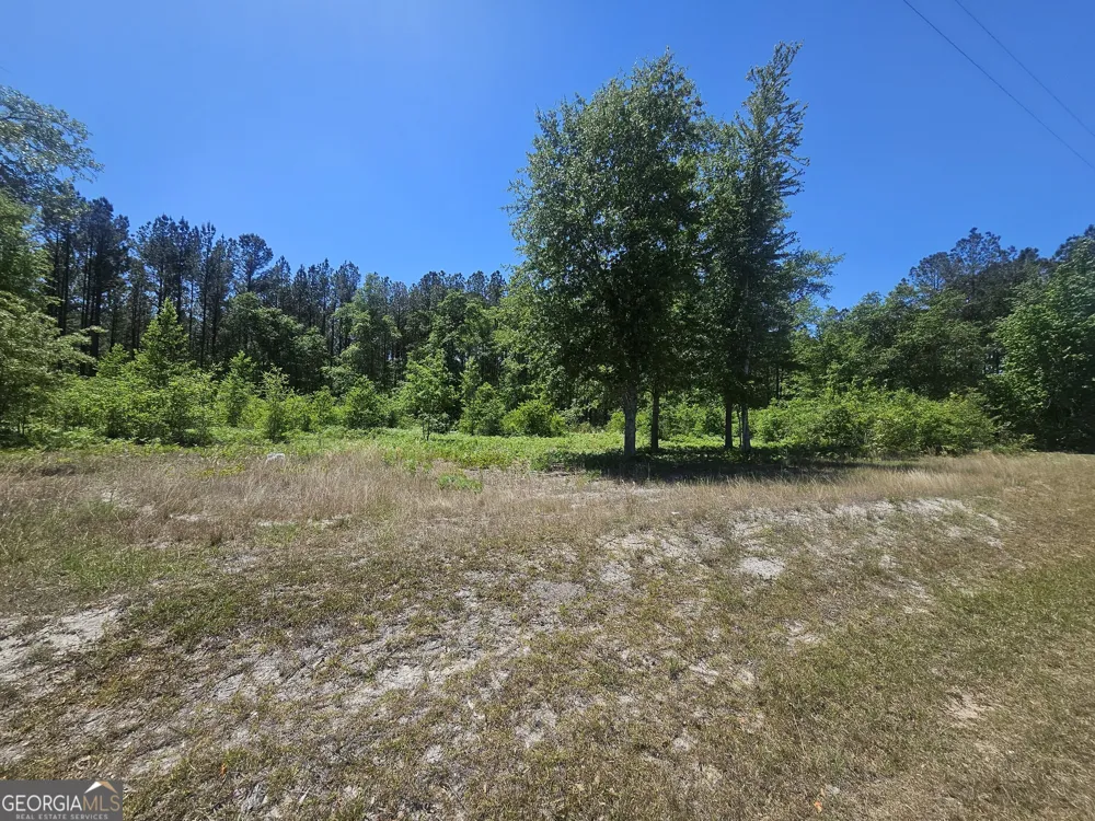 0 Edgar Lane RD Millen, GA 30442