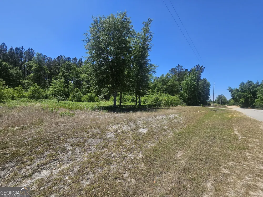 0 Edgar Lane RD Millen, GA 30442