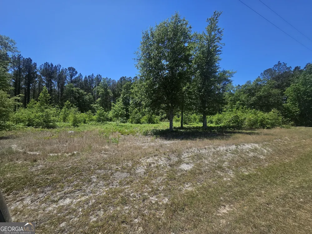 0 Edgar Lane RD Millen, GA 30442