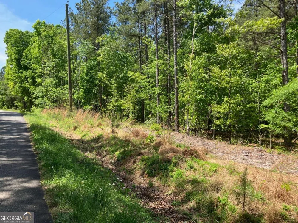 325 Rock Fence RD NW Adairsville, GA 30103