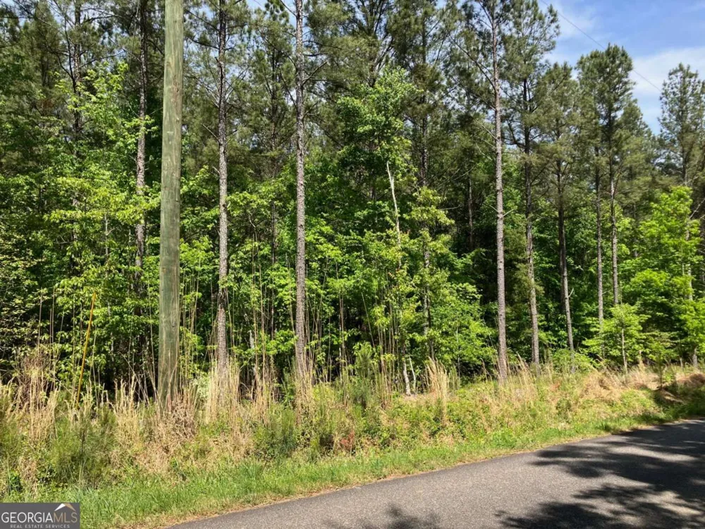 325 Rock Fence RD NW Adairsville, GA 30103