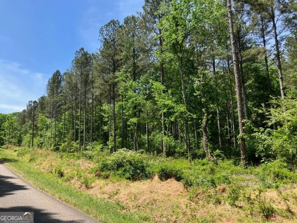 325 Rock Fence RD NW Adairsville, GA 30103