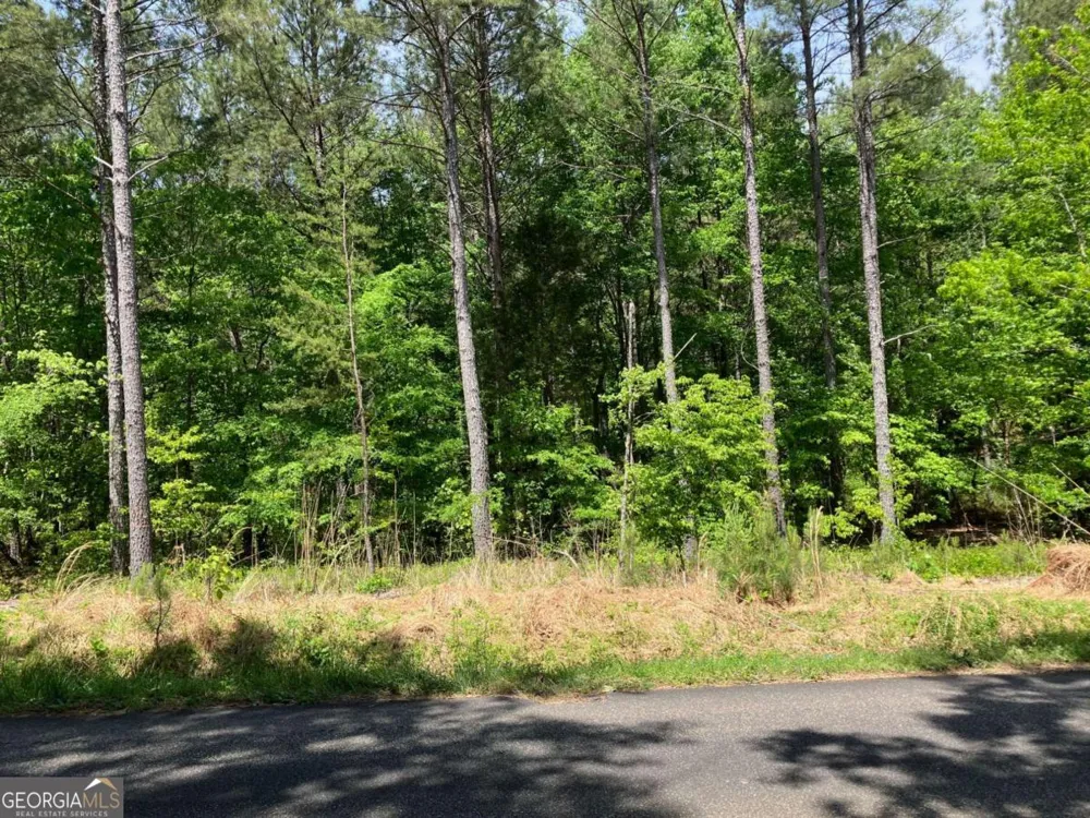 325 Rock Fence RD NW Adairsville, GA 30103
