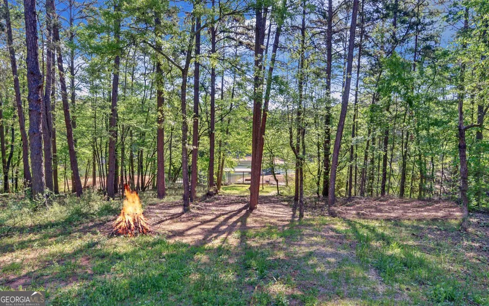 529 Chase Landing RD Martin, GA 30557