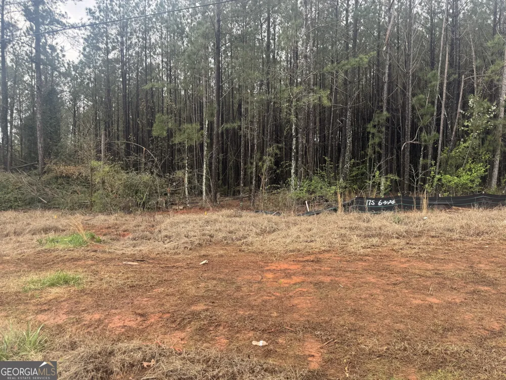 6679 Highway 42 Rex, GA 30273