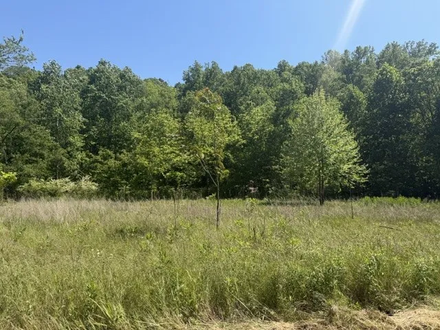 1 Bbq Rd Dickson, TN 37055