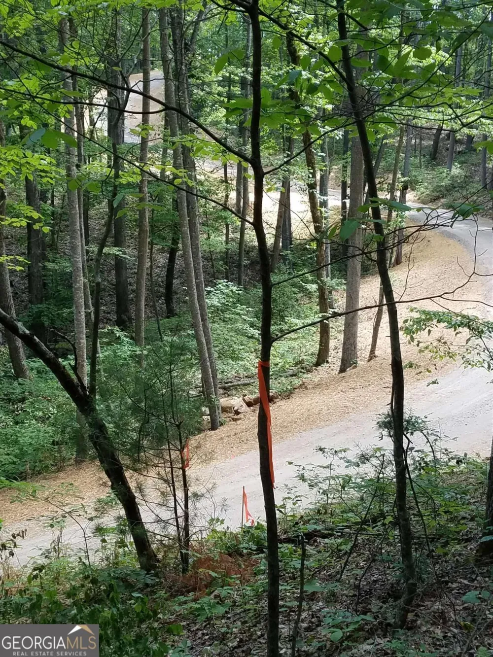 0 Valley Crest DR Blairsville, GA 30512