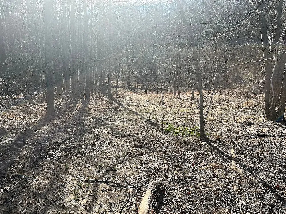 926 Half Acre Rd Smithville, TN 37166