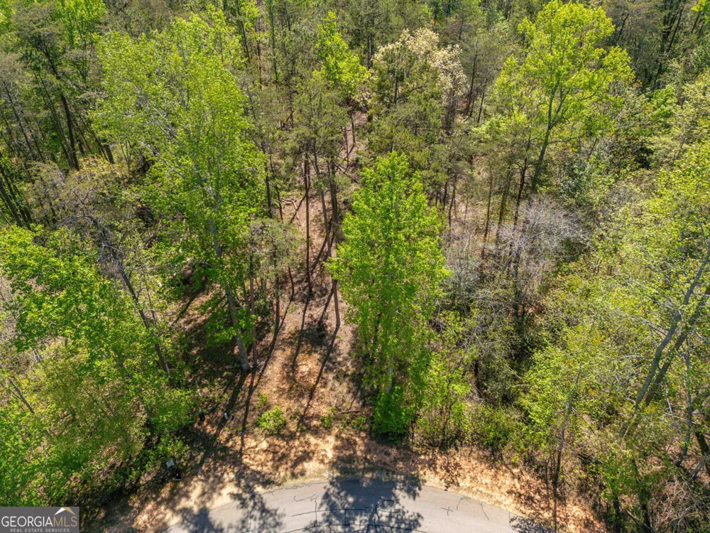 0 Red June lot 1318 & 1319 LN Clarkesville, GA 30523