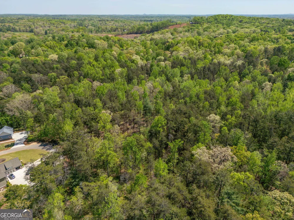 0 Red June lot 1318 & 1319 LN Clarkesville, GA 30523