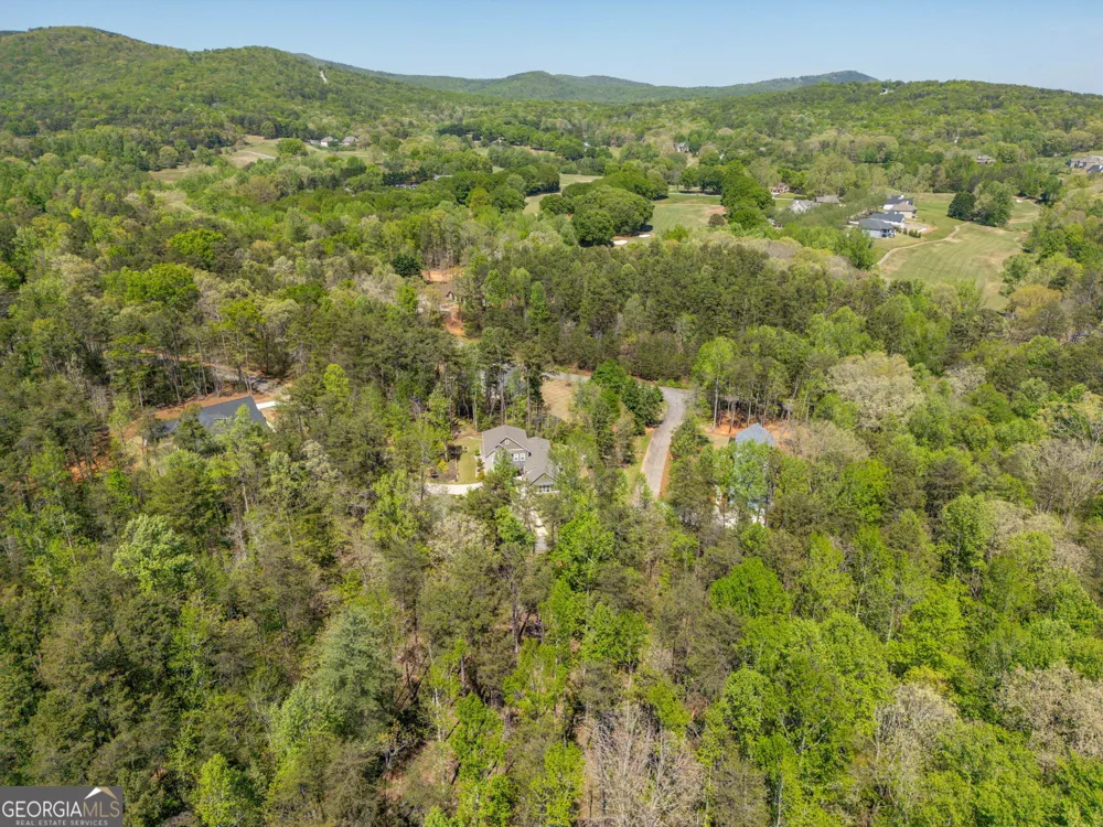 0 Red June lot 1318 & 1319 LN Clarkesville, GA 30523