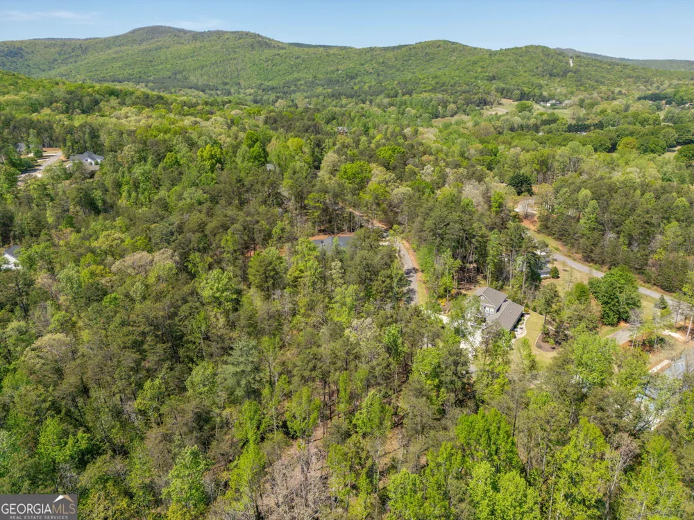 0 Red June lot 1318 & 1319 LN Clarkesville, GA 30523