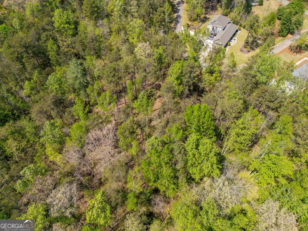 0 Red June lot 1318 & 1319 LN Clarkesville, GA 30523