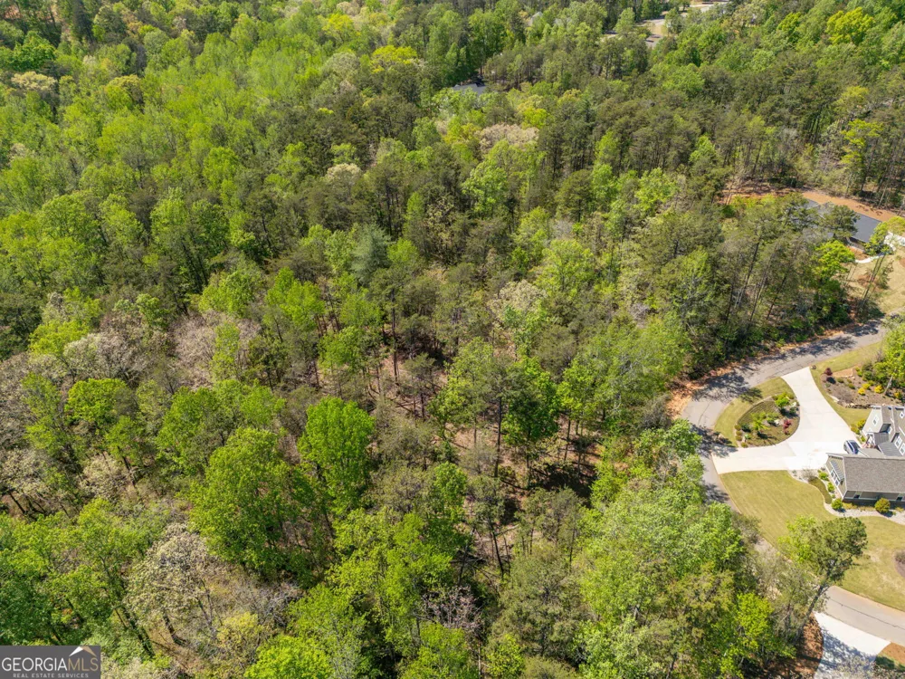 0 Red June lot 1318 & 1319 LN Clarkesville, GA 30523