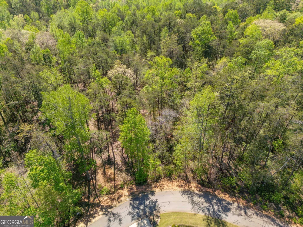 0 Red June lot 1318 & 1319 LN Clarkesville, GA 30523