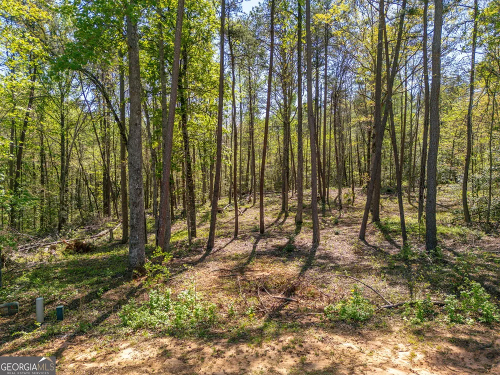 0 Red June lot 1318 & 1319 LN Clarkesville, GA 30523