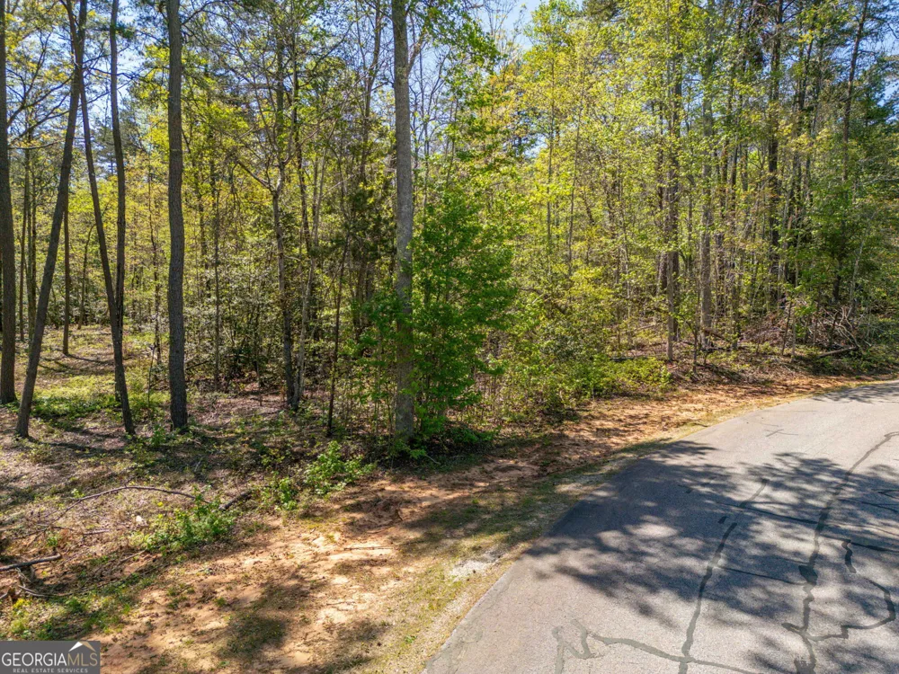 0 Red June lot 1318 & 1319 LN Clarkesville, GA 30523