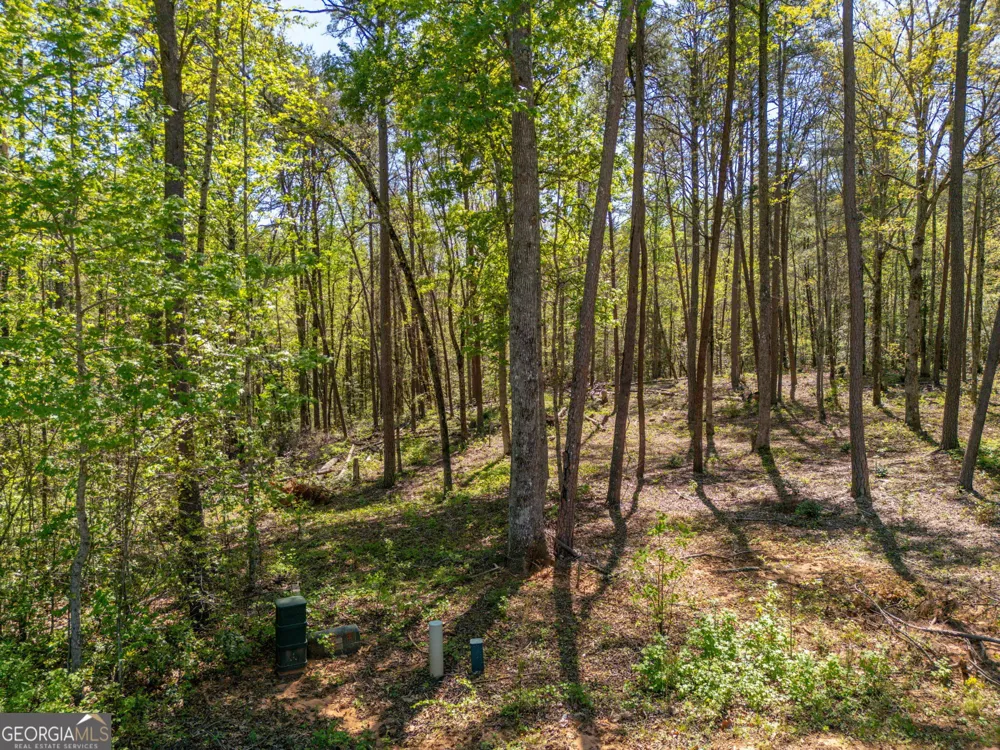 0 Red June lot 1318 & 1319 LN Clarkesville, GA 30523