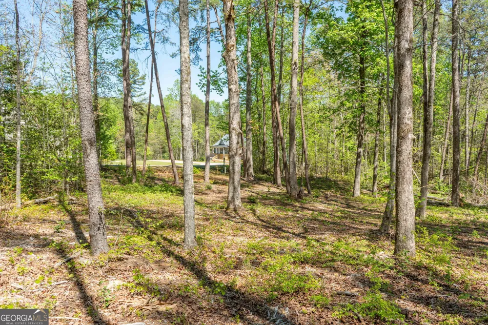 0 Red June lot 1318 & 1319 LN Clarkesville, GA 30523