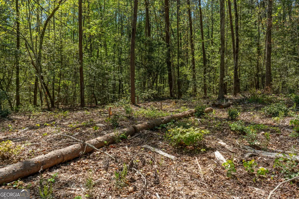 0 Red June lot 1318 & 1319 LN Clarkesville, GA 30523