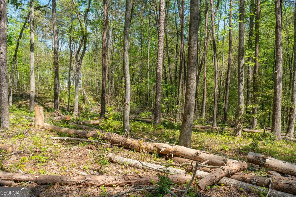 0 Red June lot 1318 & 1319 LN Clarkesville, GA 30523